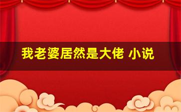 我老婆居然是大佬 小说